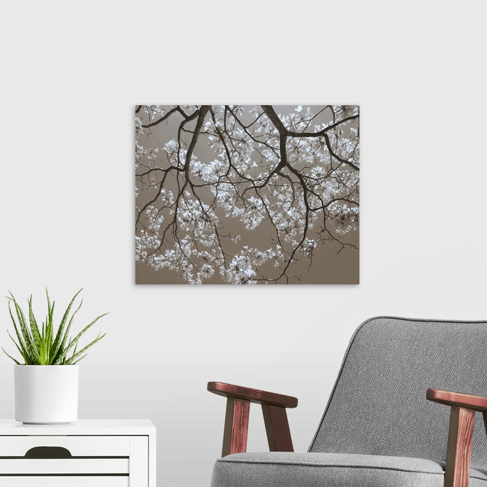 A modern room featuring White Blossoms