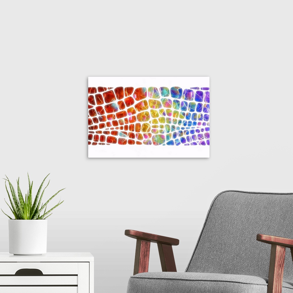 A modern room featuring Digital illustration of a rainbow scale pattern on a white background.