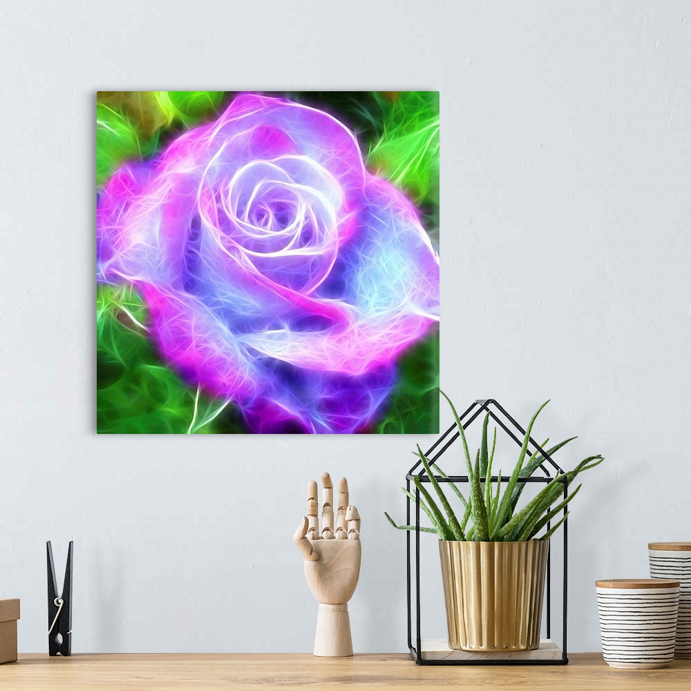A bohemian room featuring Digital illustration of a pink, purple, and blue rose with a green background and electric lookin...