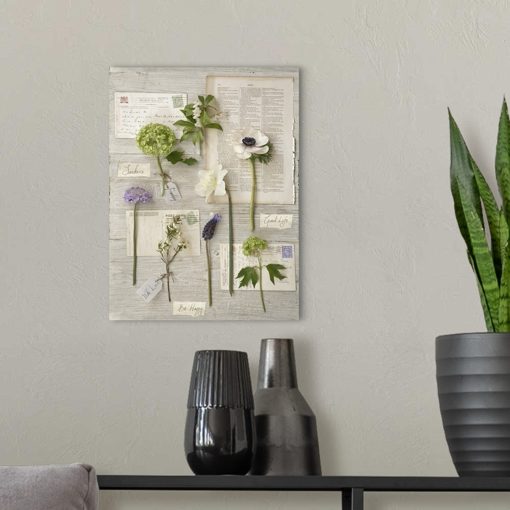 A modern room featuring Photograph of different floral plants laying on letters and other documents.