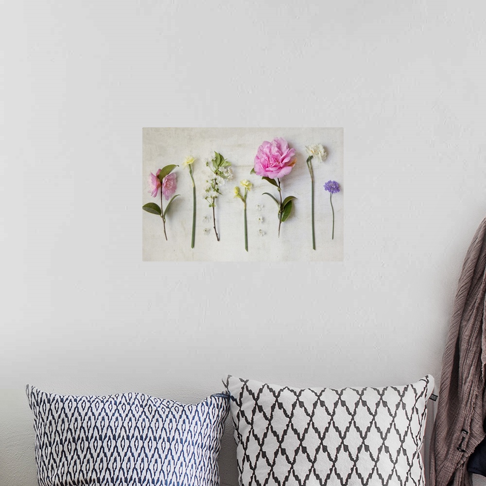A bohemian room featuring Photograph of different floral plants on a rustic looking background.