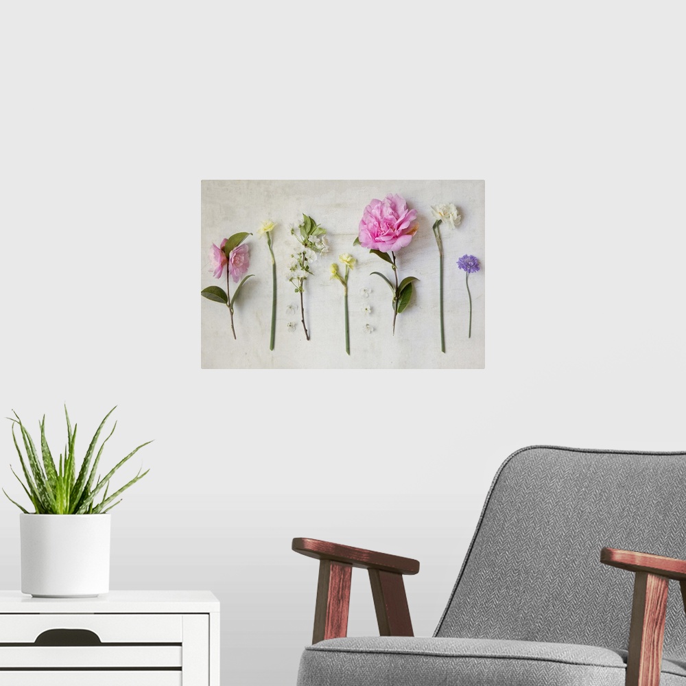A modern room featuring Photograph of different floral plants on a rustic looking background.