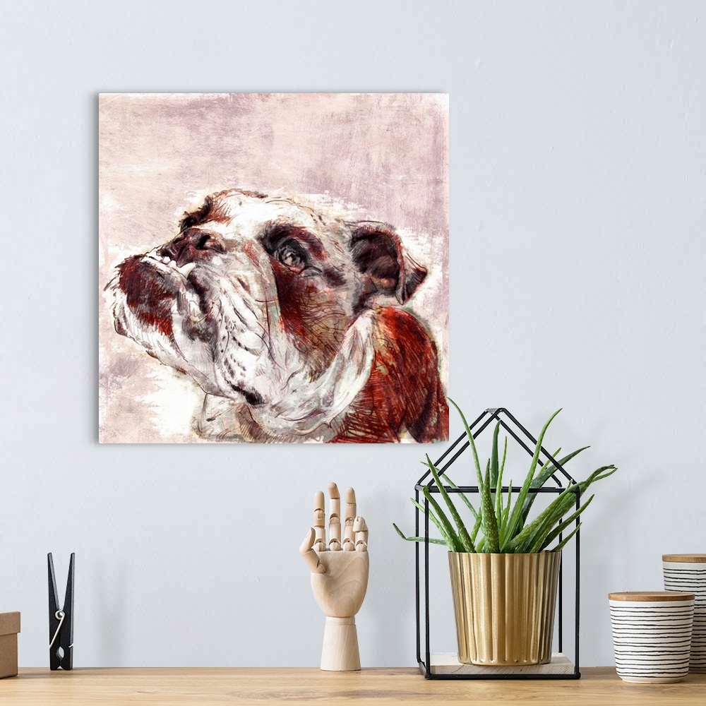 A bohemian room featuring Contemporary painting of an English Bulldog.