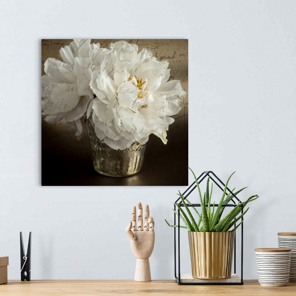 A bohemian room featuring Calligraphic Peony I