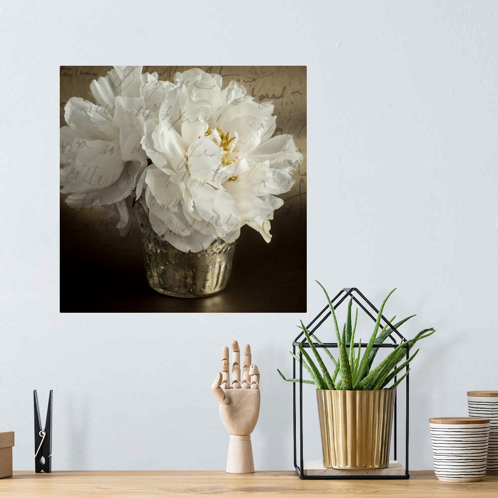 A bohemian room featuring Calligraphic Peony I