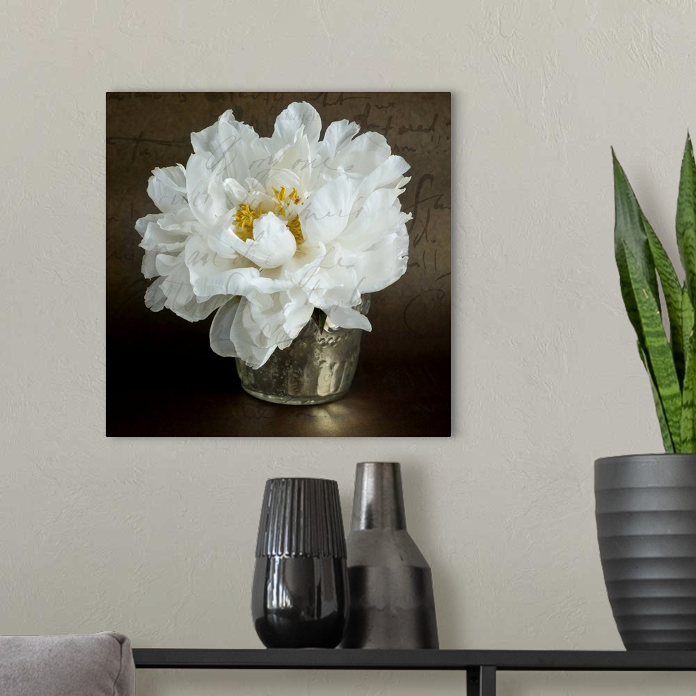 A modern room featuring Calligraphic Peony II