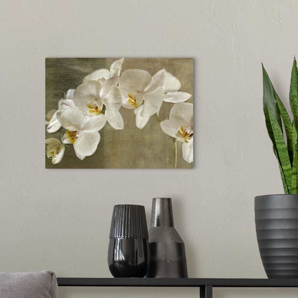 A modern room featuring Oversized, horizontal, fine art photograph of branch of large white orchids on a neutral backgrou...