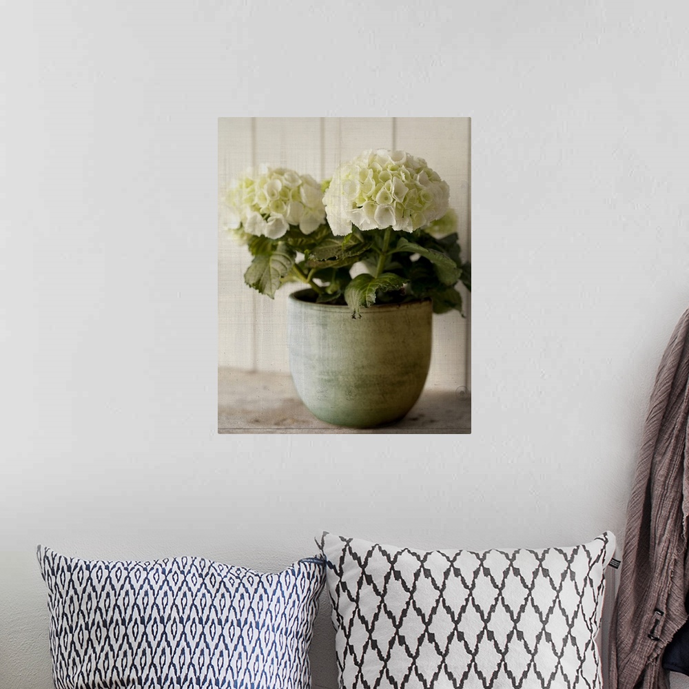 A bohemian room featuring Potted Hydrangea