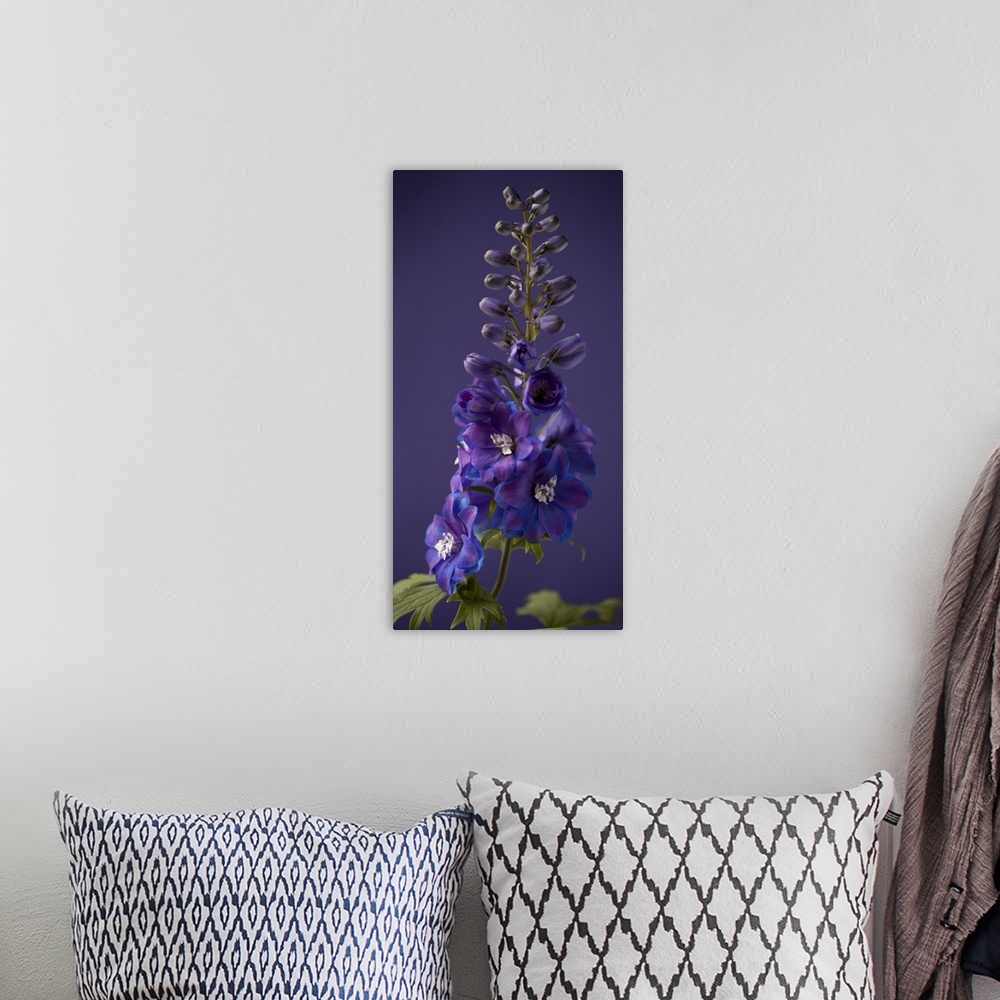 A bohemian room featuring FLORAL; FOXGLOVES; PURPLE; PHOTOGRAPHIC; BOTANICAL