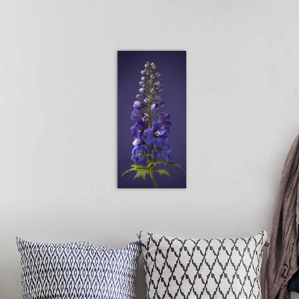 A bohemian room featuring FLORAL; FOXGLOVES; PURPLE; PHOTOGRAPHIC; BOTANICAL