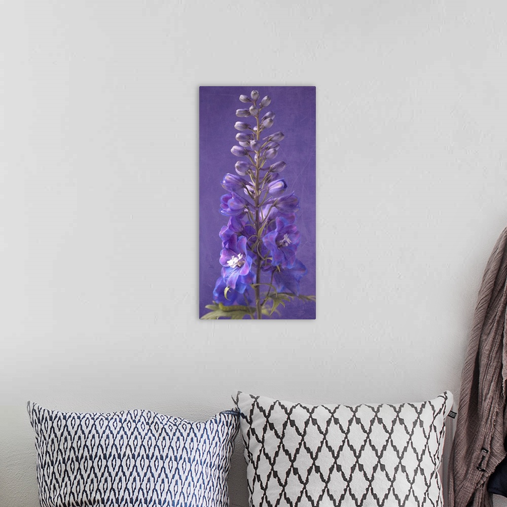 A bohemian room featuring Purple Foxgloves V