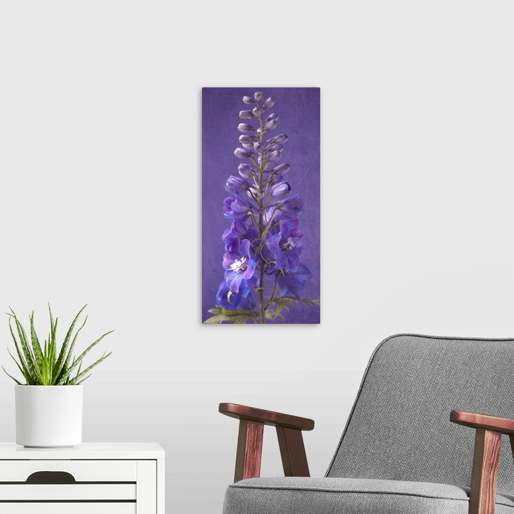 A modern room featuring Purple Foxgloves V