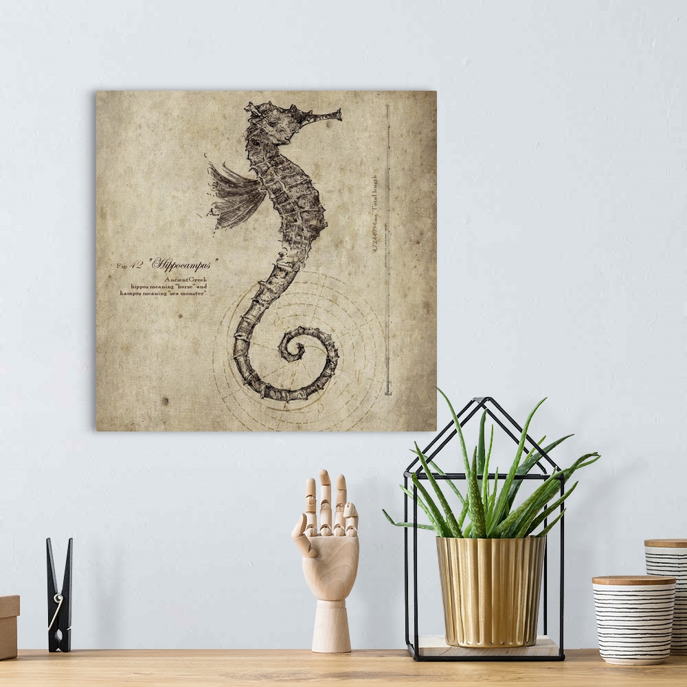 A bohemian room featuring Contemporary artwork of a vintage looking scientific drawing of a seahorse profile.