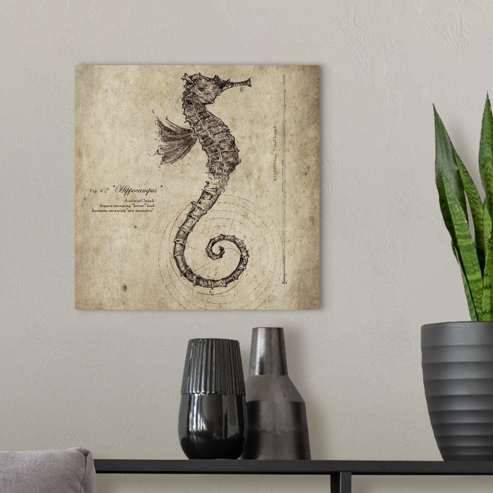 A modern room featuring Contemporary artwork of a vintage looking scientific drawing of a seahorse profile.