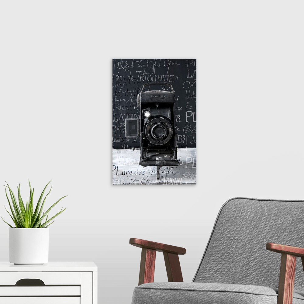 A modern room featuring Vintage Camera I
