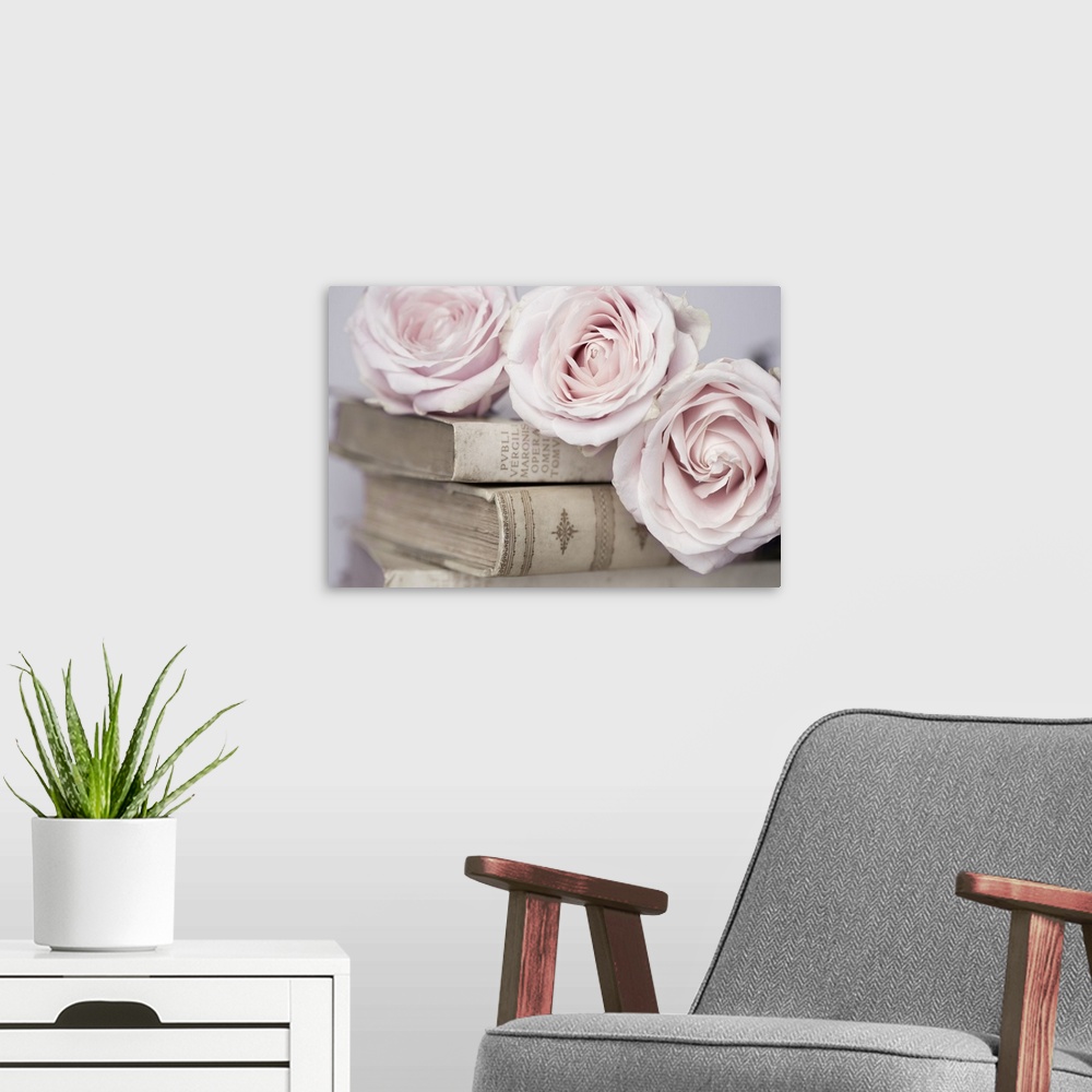 A modern room featuring Vintage Roses