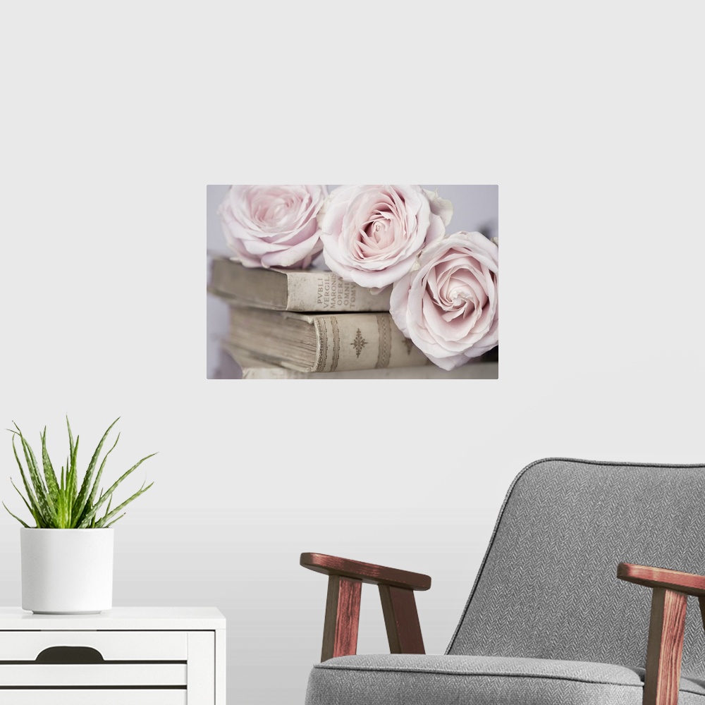 A modern room featuring Vintage Roses