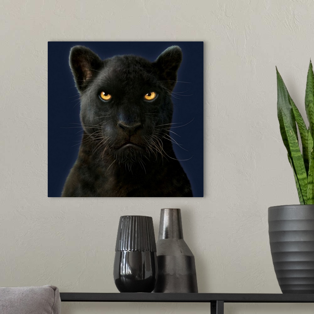 A modern room featuring Black Panther Portrait