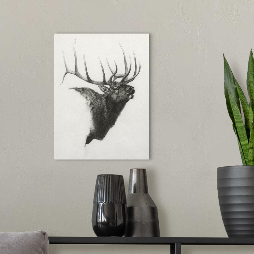 A modern room featuring Bull Elk