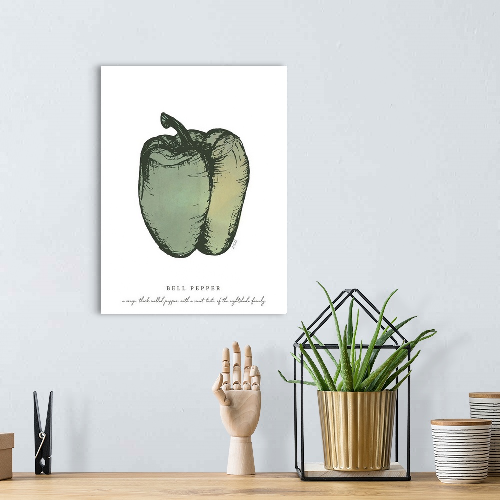 A bohemian room featuring Watercolor and Ink painting of a green bell pepper with script fact.