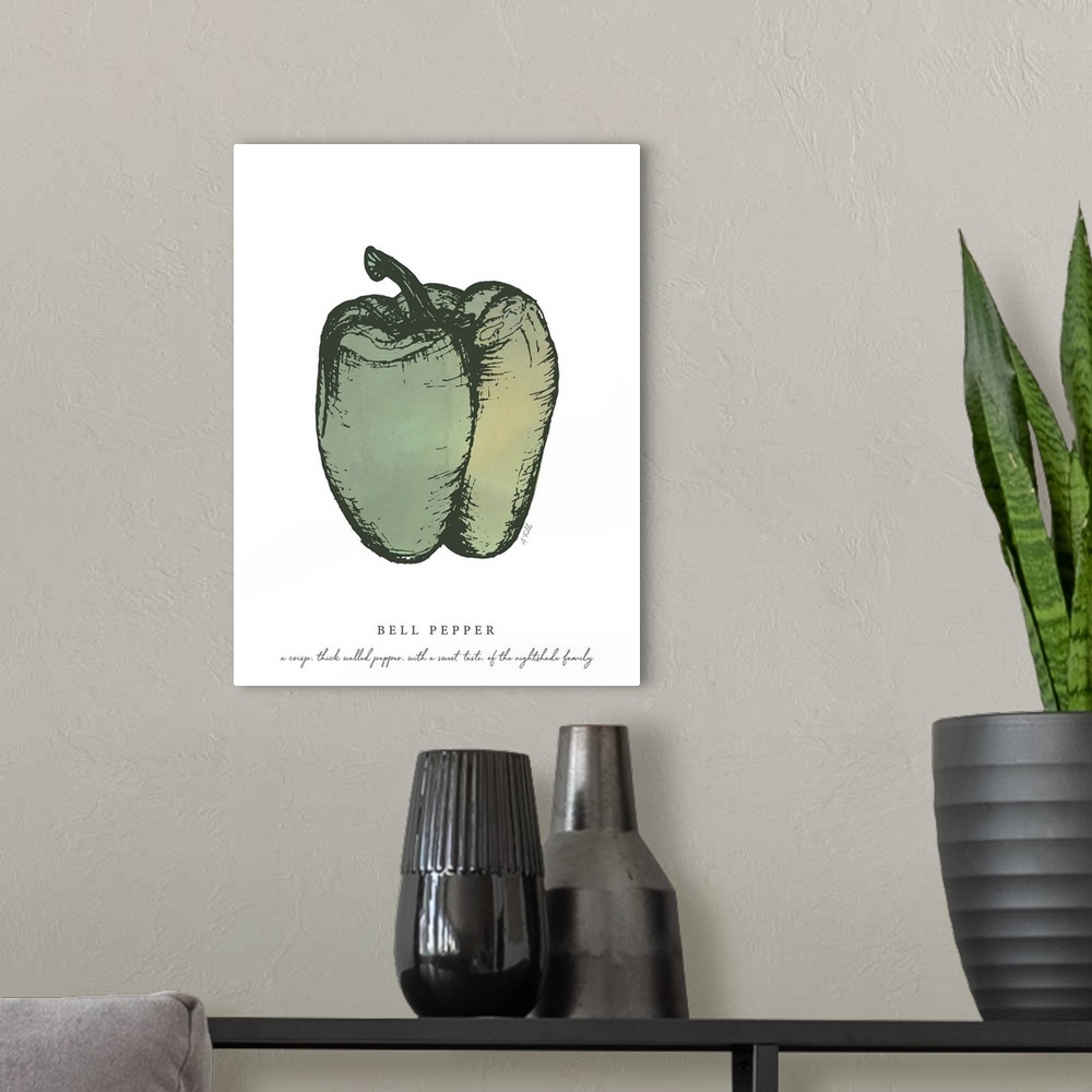 A modern room featuring Watercolor and Ink painting of a green bell pepper with script fact.