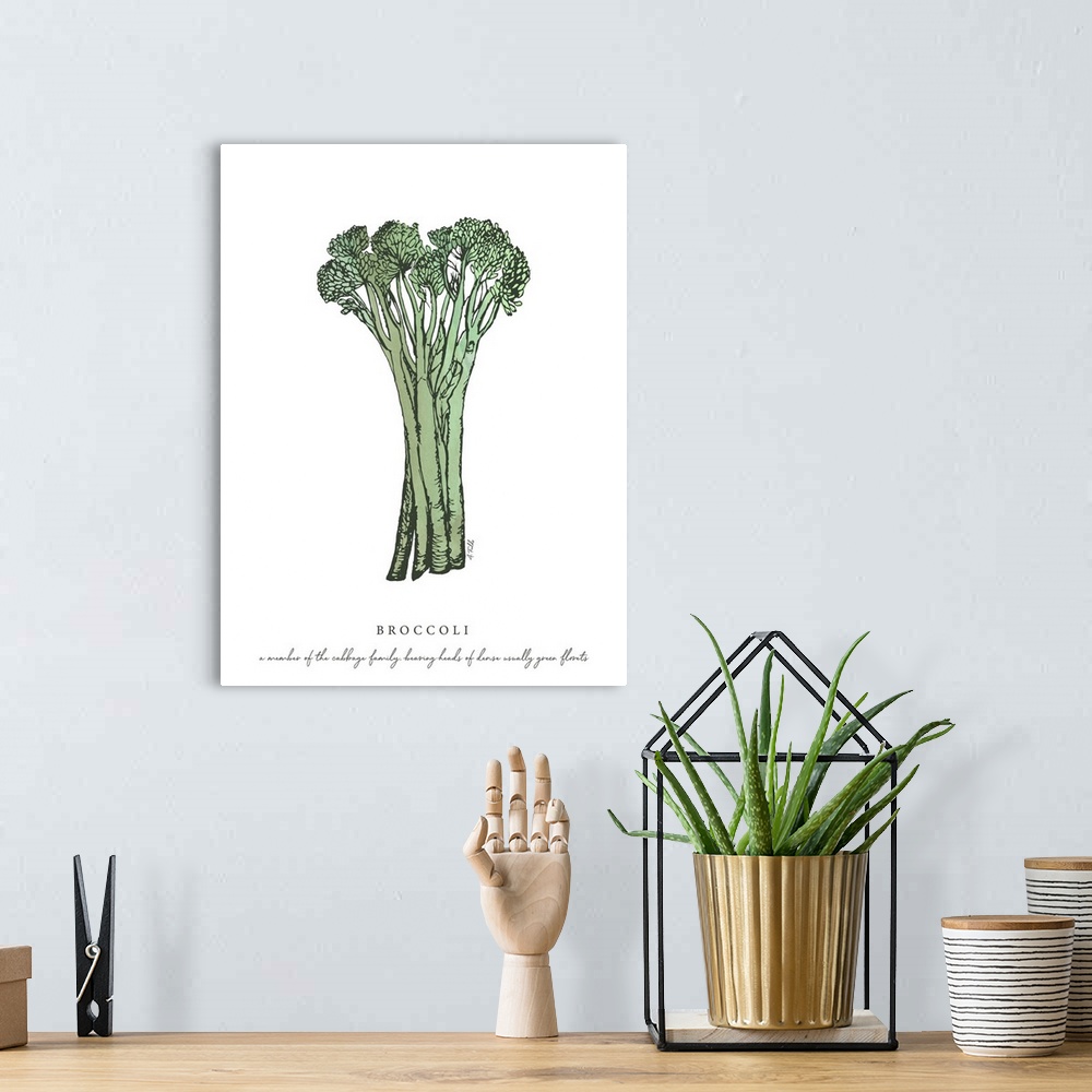 A bohemian room featuring Watercolor and Ink painting of broccoli with script fact.