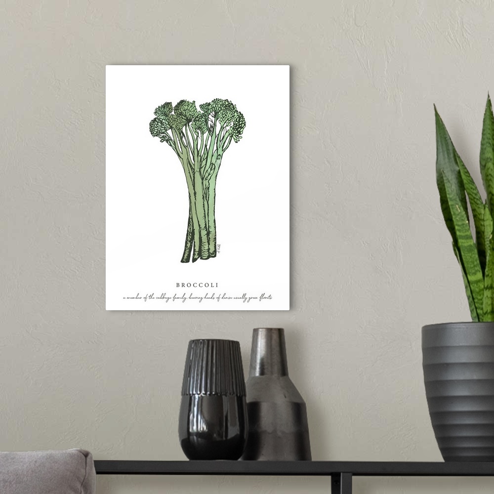 A modern room featuring Watercolor and Ink painting of broccoli with script fact.