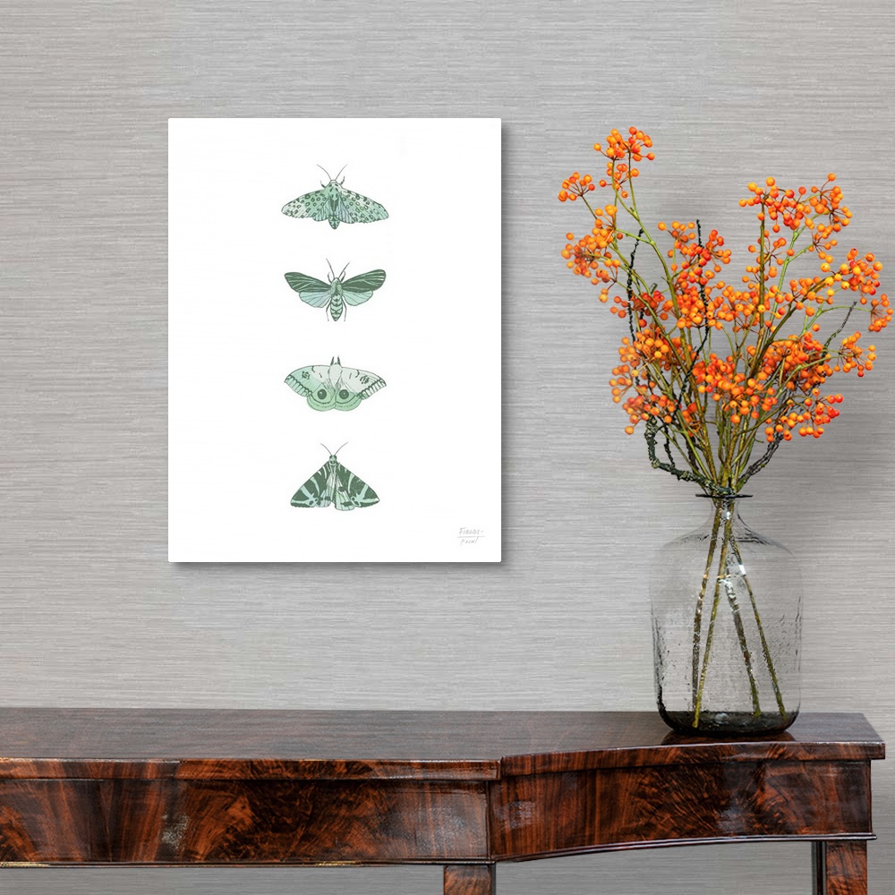 A traditional room featuring Watercolor and ink print with four different species of moths.