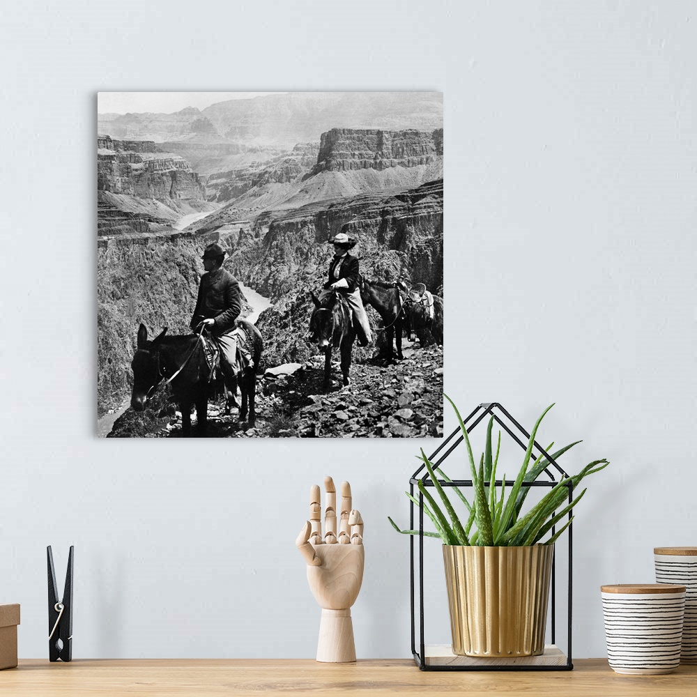 A bohemian room featuring Grand Canyon, Sightseers. A Man And A Woman Riding Mules Along the Edge Of A Precipice On the Gra...