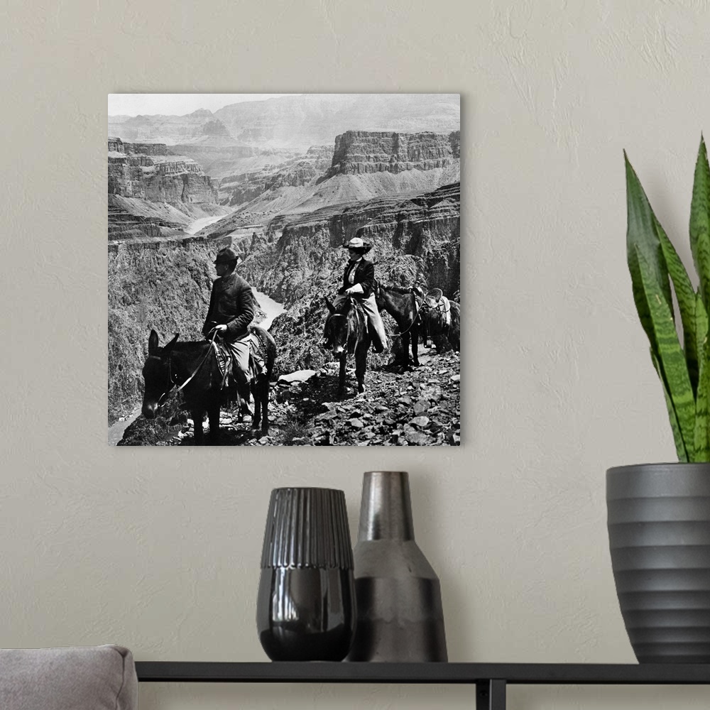 A modern room featuring Grand Canyon, Sightseers. A Man And A Woman Riding Mules Along the Edge Of A Precipice On the Gra...