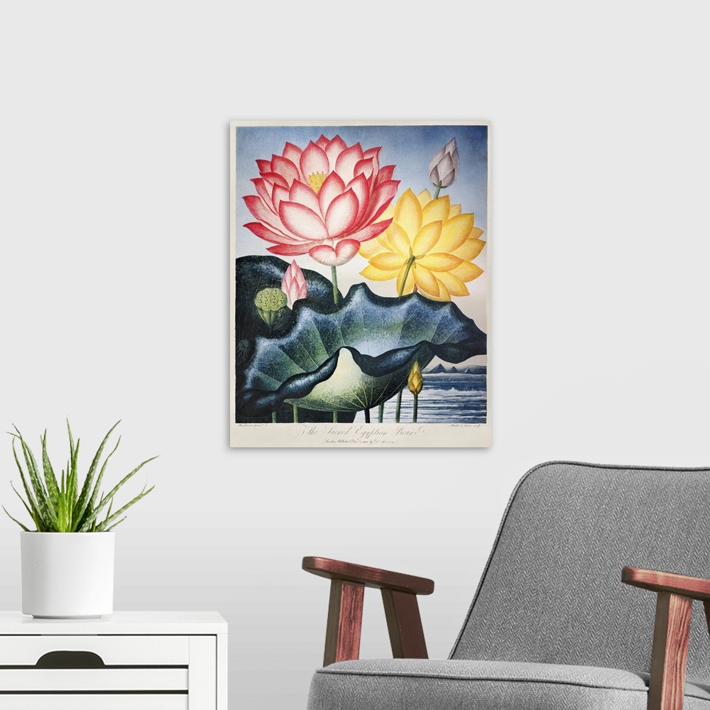 A modern room featuring Lotus