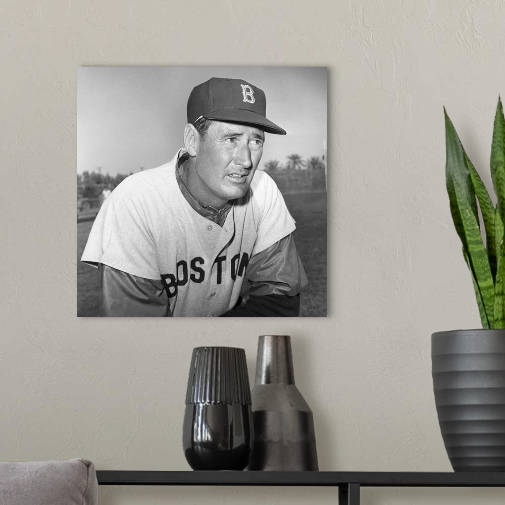 A modern room featuring Theodore Samuel Williams. American baseball player. Photographed during spring training in Florid...