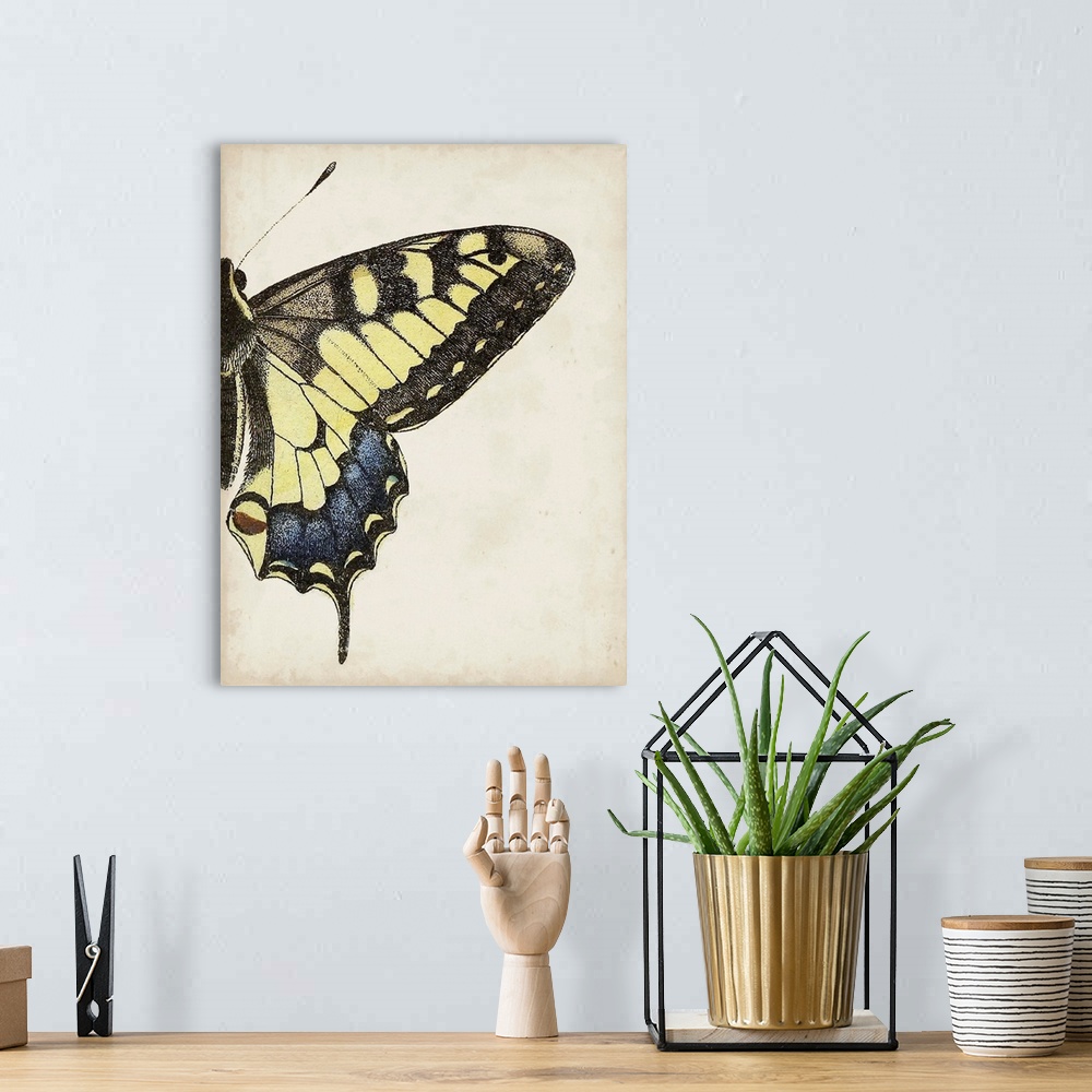 A bohemian room featuring Big Butterfly