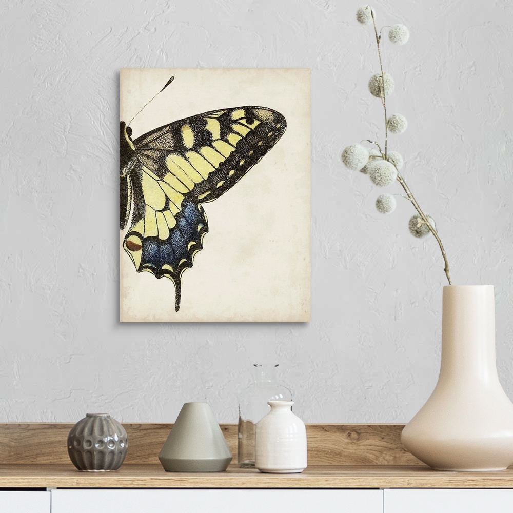 A farmhouse room featuring Big Butterfly