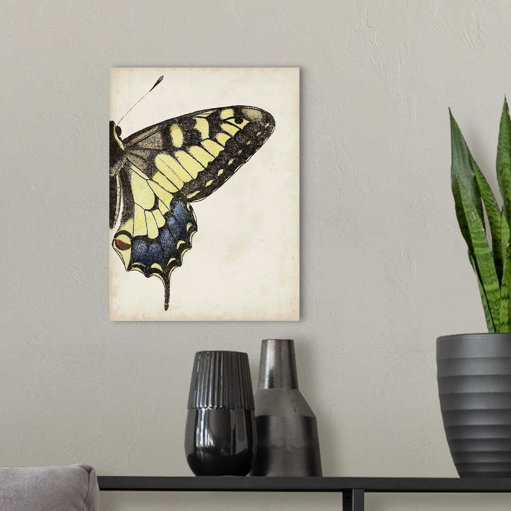 A modern room featuring Big Butterfly