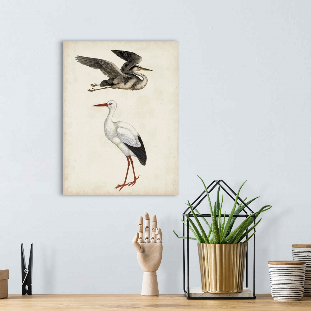 A bohemian room featuring Egret & Heron