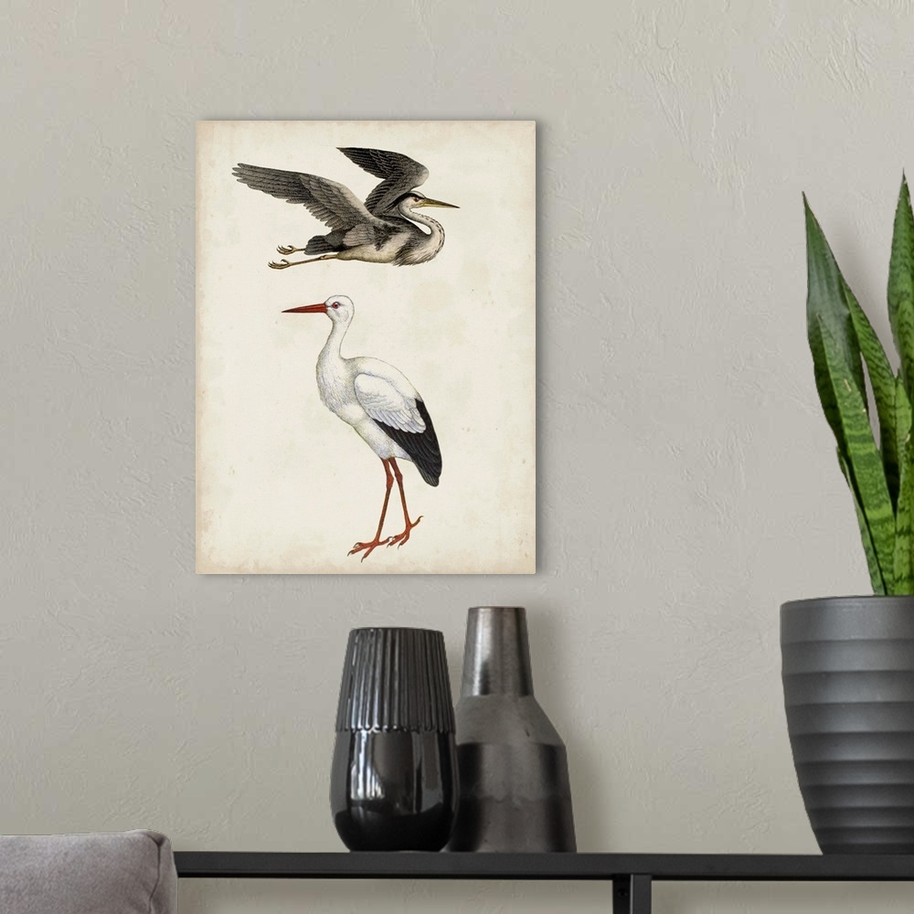 A modern room featuring Egret & Heron