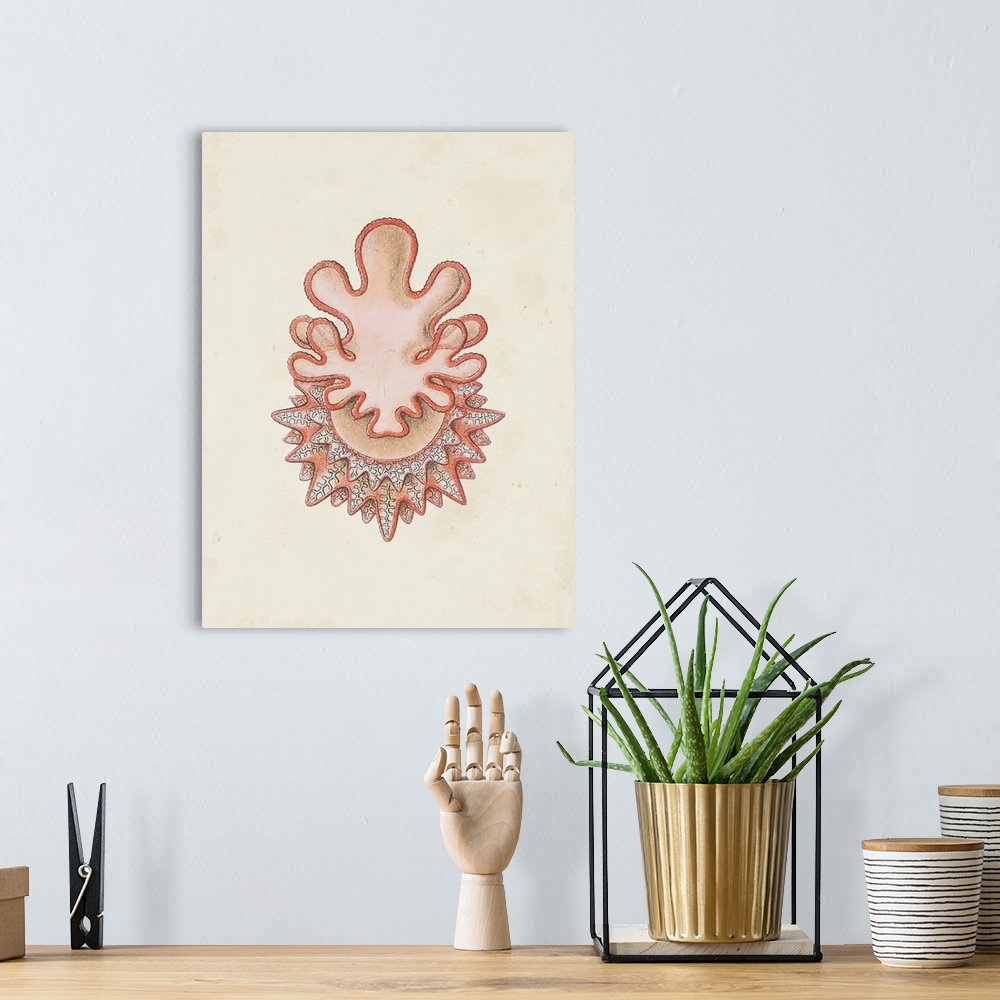 A bohemian room featuring Jellyfish I