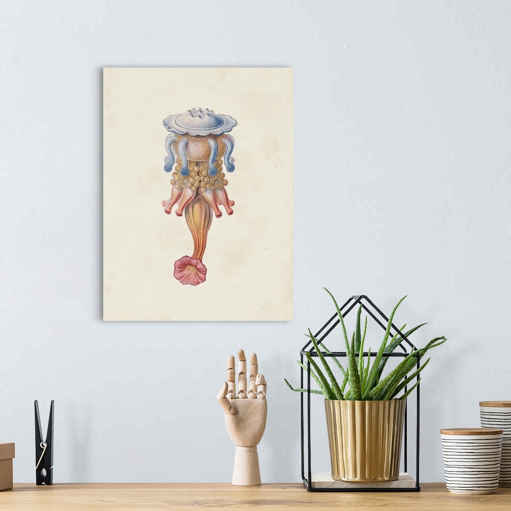 A bohemian room featuring Jellyfish II