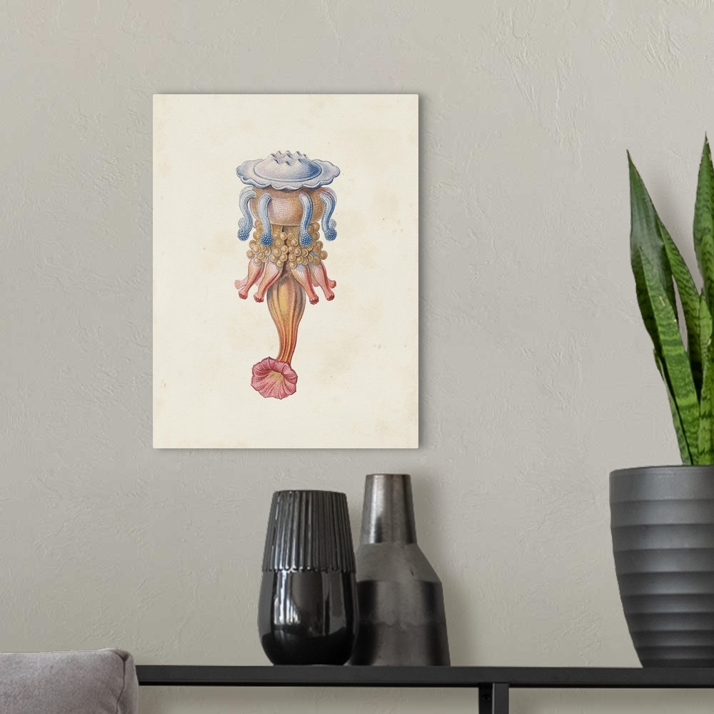 A modern room featuring Jellyfish II