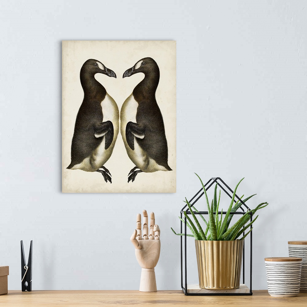 A bohemian room featuring Penguins