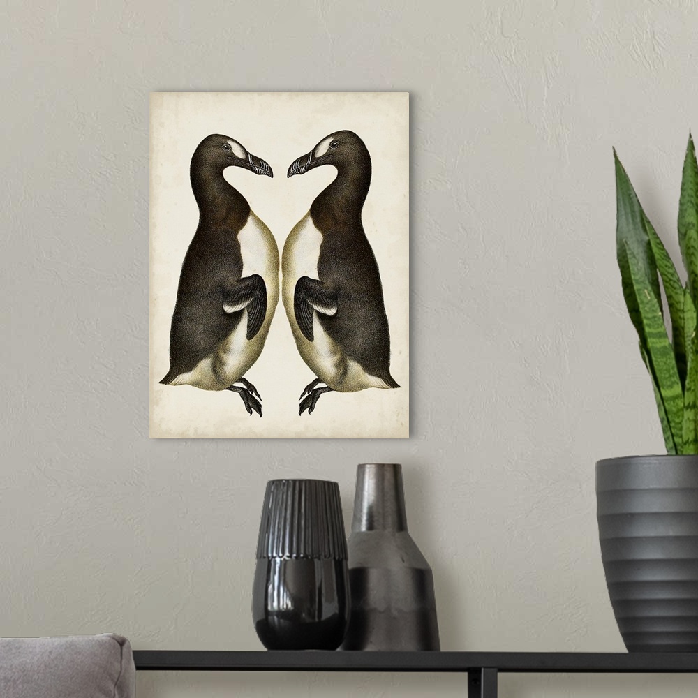 A modern room featuring Penguins