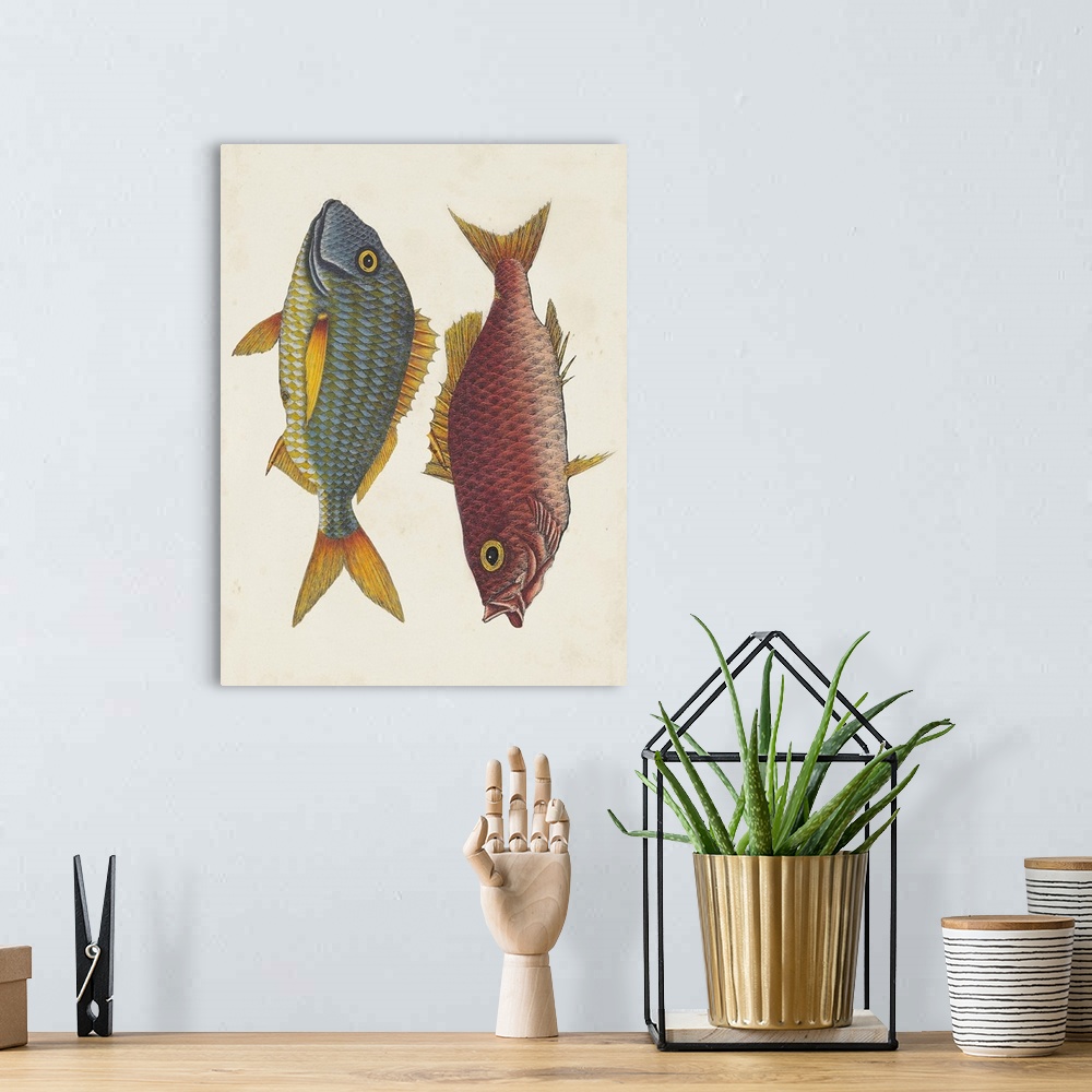 A bohemian room featuring Pink Fish, Blue Fish