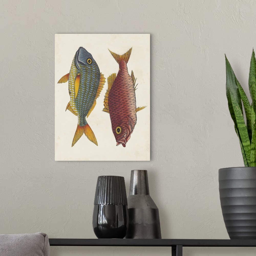 A modern room featuring Pink Fish, Blue Fish