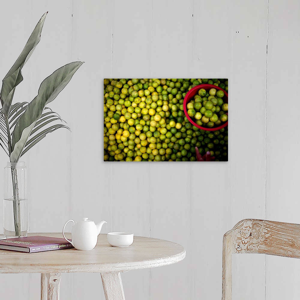 A farmhouse room featuring Photograph of a large amount of limes with a hand placing a number of them in a red bucket.