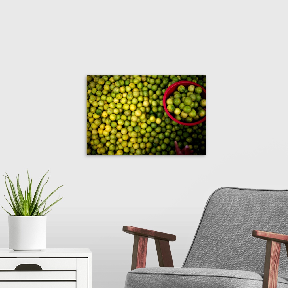 A modern room featuring Photograph of a large amount of limes with a hand placing a number of them in a red bucket.