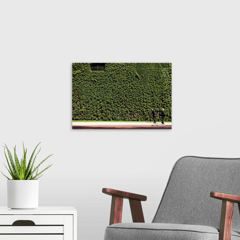 A modern room featuring A horizontal photograph of a wall covered with greenery as two men walk by on the sidewalk.