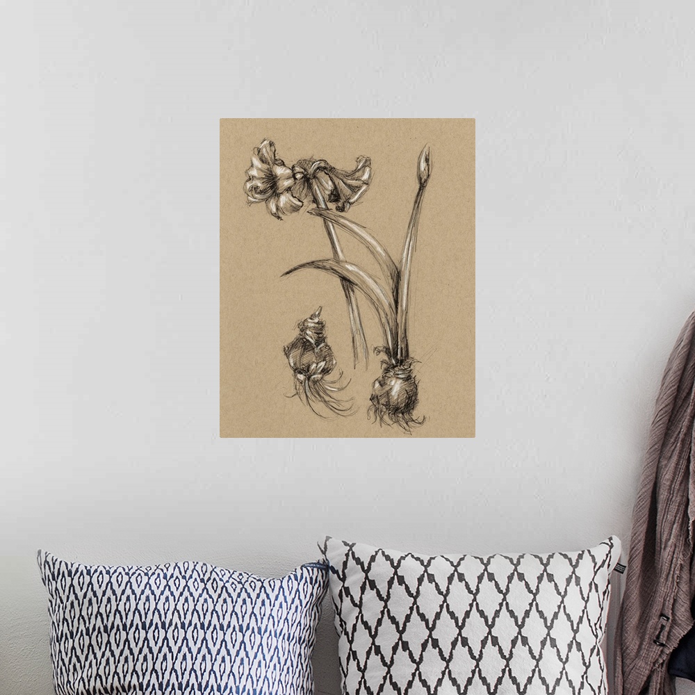 A bohemian room featuring Vintage Bloom Sketches IV