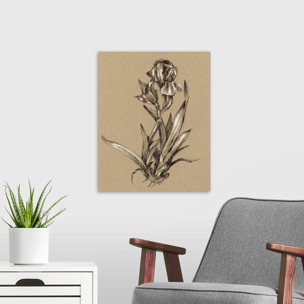 A modern room featuring Vintage Bloom Sketches VI