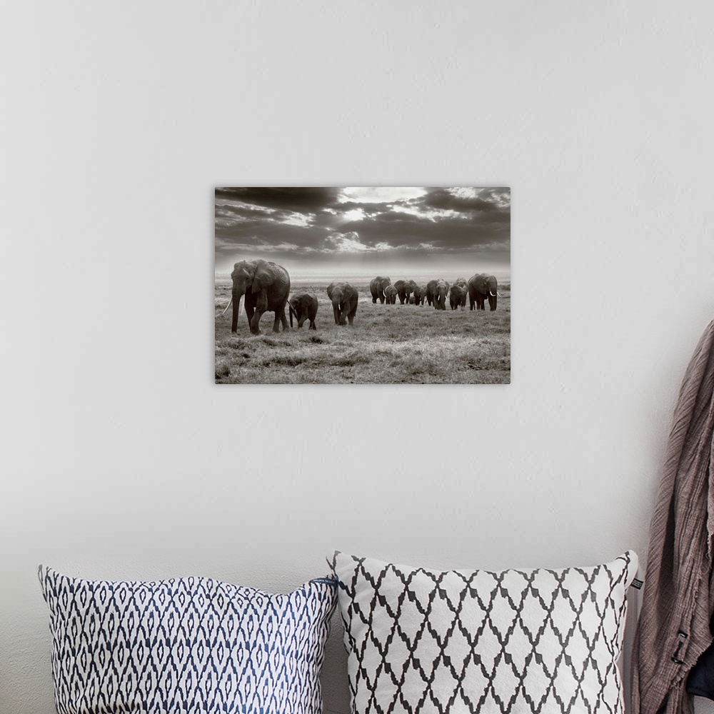 A bohemian room featuring Amboseli Elephants